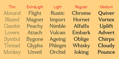 Tonkin Serif Font Poster 3