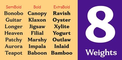Tonkin Serif Font Poster 4