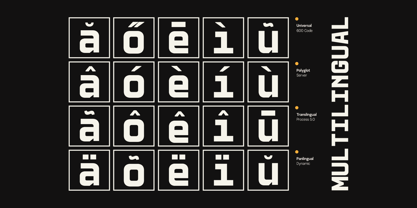 GC Vensca Mono Font Poster 12