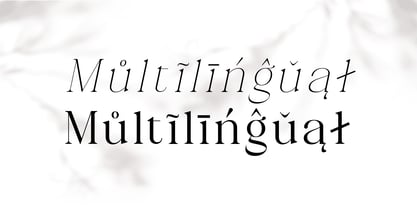 Celima Font Poster 15