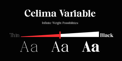 Celima Font Poster 4