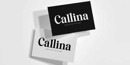 Celima Font Poster 7