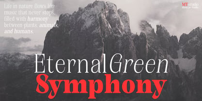 Kornesia Contrast Font Poster 10