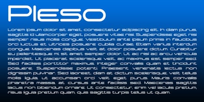 Pleso Font Poster 7