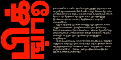 Peridot Tamil Font Poster 9