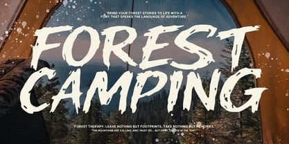 MC Meliod Larsen Font Poster 2