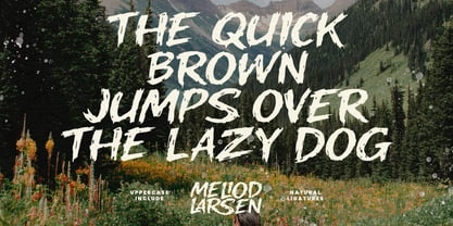 MC Meliod Larsen Font Poster 5