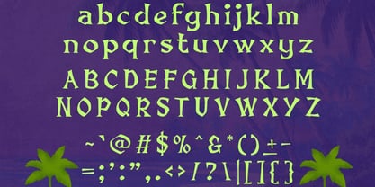 Shaka Sunset Font Poster 6