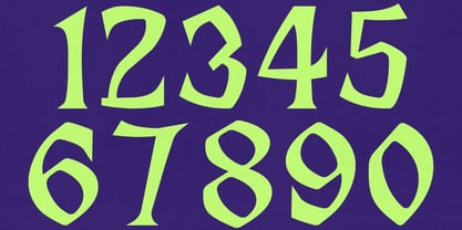 Shaka Sunset Font Poster 4