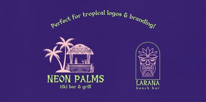 Shaka Sunset Font Poster 5