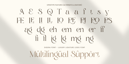 Sigera Font Poster 13