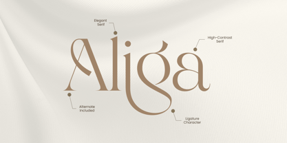 Sigera Font Poster 9