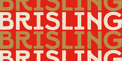 RTCO BRISLING Font Poster 8