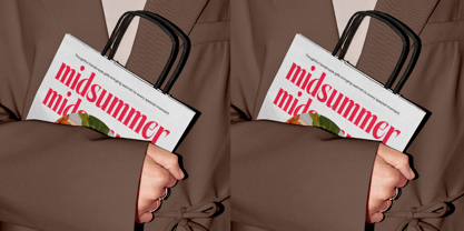 Mellgro Font Poster 5