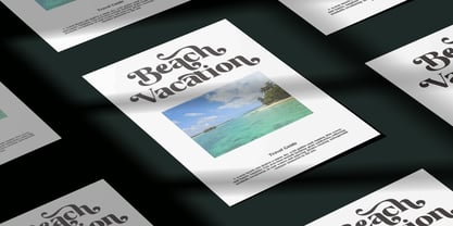 Borth Tropical Font Poster 3