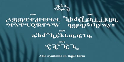 Borth Tropical Font Poster 6