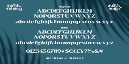 Borth Tropical Font Poster 5