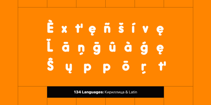 Hoopoe Font Poster 9
