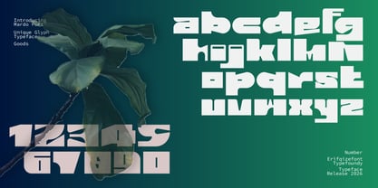 Mardo Font Poster 4