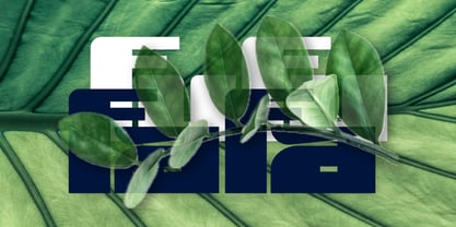 Mardo Font Poster 9