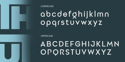 Minga Font Poster 13
