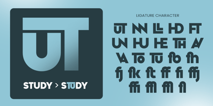 Minga Font Poster 10