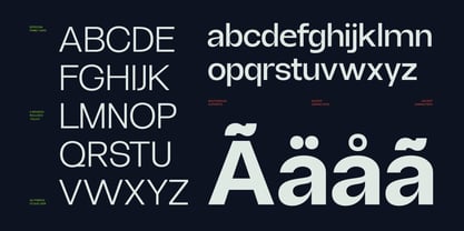 Borsche Font Poster 9