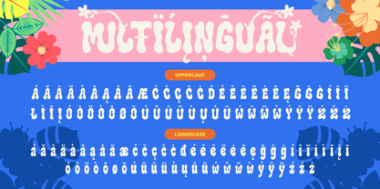 Flowie Font Poster 11