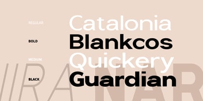 Nira Nara Font Poster 3
