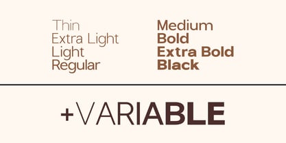 Nira Nara Font Poster 6