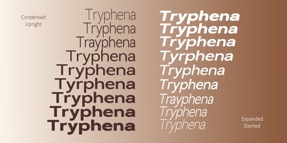 Nira Nara Font Poster 2