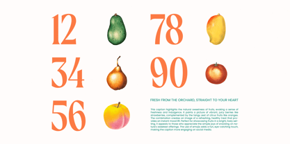 Agnofy Rusting Font Poster 4