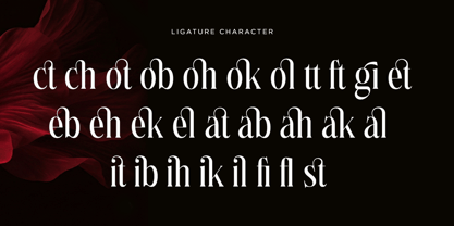 Petrichor Font Poster 7