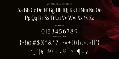 Petrichor Font Poster 6