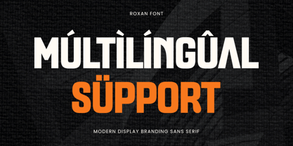 Roxan Font Poster 13