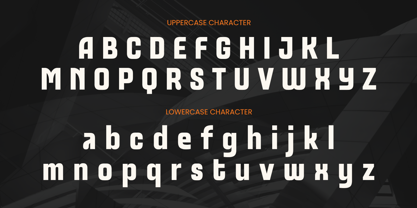Roxan Font Poster 10