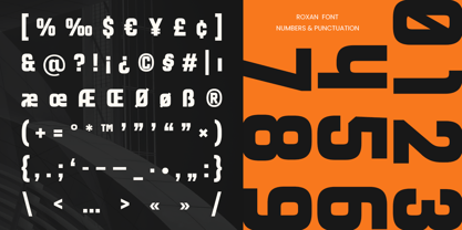 Roxan Font Poster 11