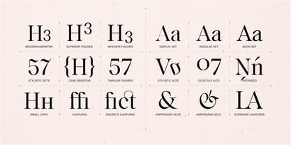 Voxas Font Poster 14