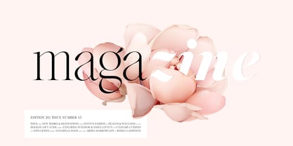 Voxas Font Poster 8