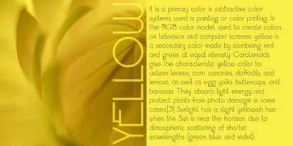 Simpli Font Poster 6