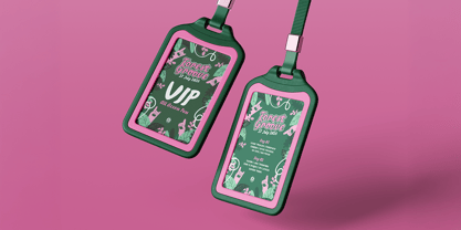 MN Soraine Font Poster 13