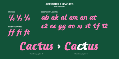 MN Soraine Font Poster 8