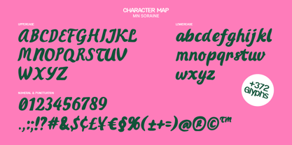 MN Soraine Font Poster 7