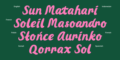 MN Soraine Font Poster 10