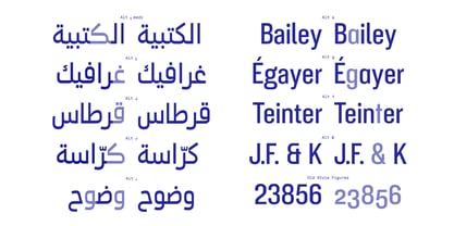 Nuqtra Arabic Font Poster 7