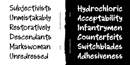 Pen Notes Font Poster 8