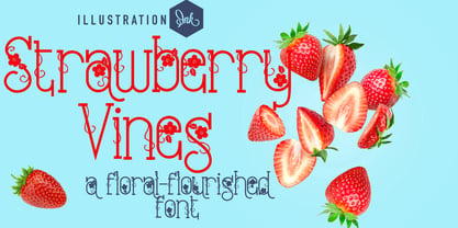 ZP Strawberry Blossom Font Poster 1