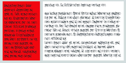 ZP Strawberry Blossom Font Poster 2