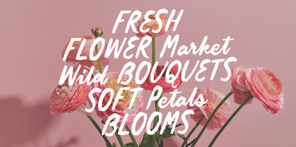 Quiet Petal Font Poster 2