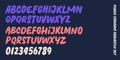 Ploger Font Poster 4